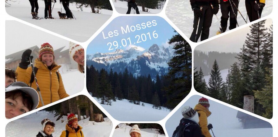 Sortie raquettes aux Mosses