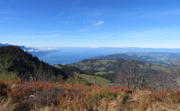 IMG_1353
