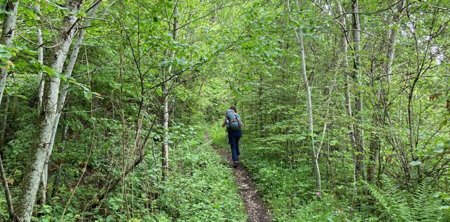 Mont de Baulmes 2024