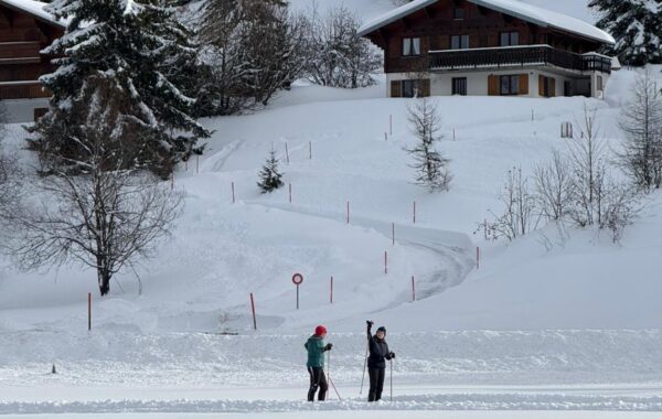 Sortie Marche et Ski de Fond Aux Mosses 2026