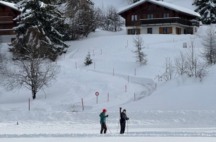 Sortie Marche et Ski de Fond Aux Mosses 2026