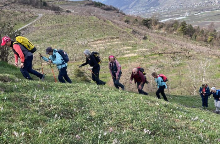 Sur le Sentier des Abricotiers et Adonis en Fleurs le 22 mars 2026